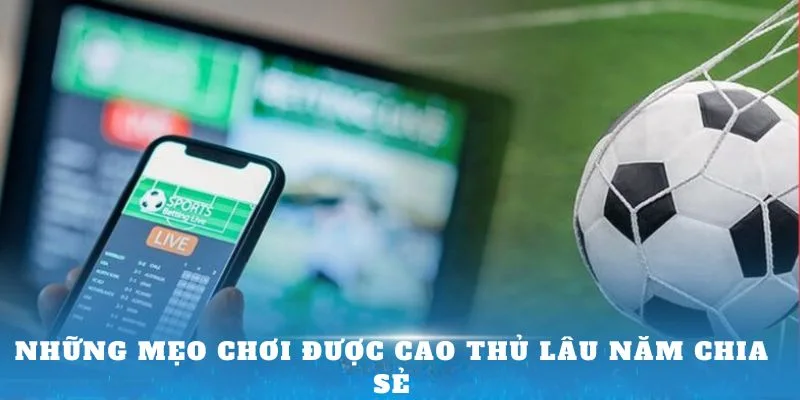 Những mẹo chơi được cao thủ lâu năm chia sẻ